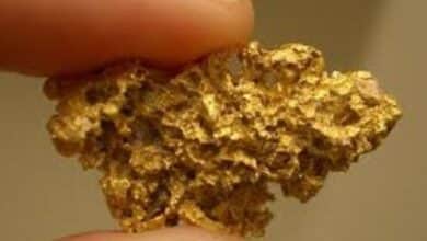 Major Gold Discovery in Hunan Province