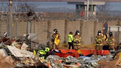 The Role of Bird Strikes in Deadly Jeju Air Crash in South Korea