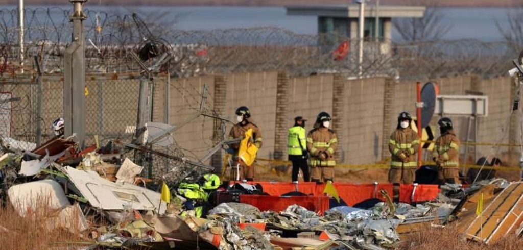 The Role of Bird Strikes in Deadly Jeju Air Crash in South Korea