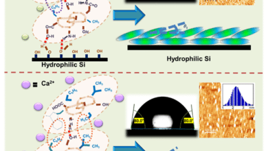 Fabrication of lysozyme bilayers in presence of ions can mimic biological