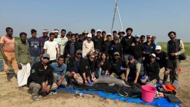 Historic Tagging of Ganges River Dolphin in Assam