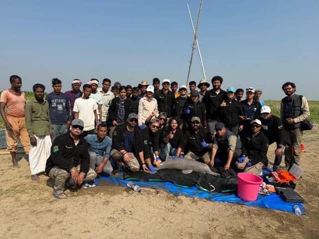 Historic Tagging of Ganges River Dolphin in Assam