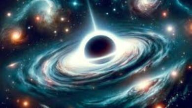 Intermediate-Mass Black Hole Discovery
