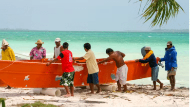 Lack of Clean Water Drives Pacific Islanders to Sugary Drinks – Addressing This Could Cut Obesity