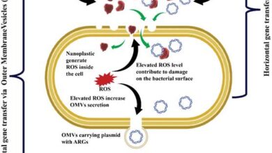 Nano-plastics identified as emerging agents in spread of antibiotic resistance