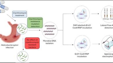 Innovative Diagnostic Method for H. pylori Detection