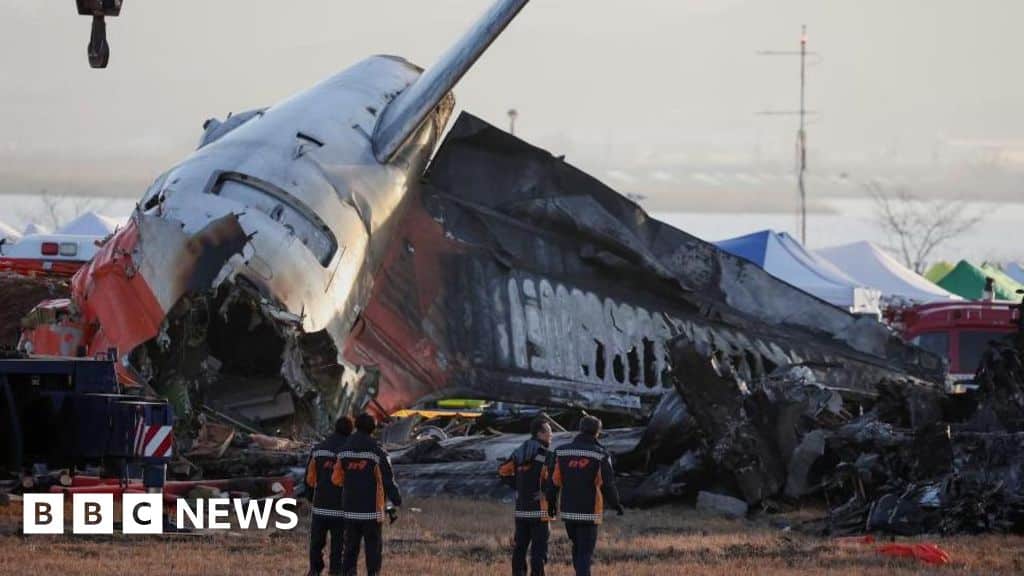 Pre-flight checks found no issues, Jeju Air CEO says