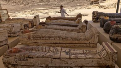 Remarkable Archaeological Discoveries in Egypt