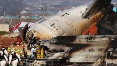 Tragic Plane Crash in South Korea Claims Lives