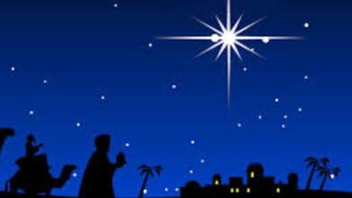 Star of Bethlehem