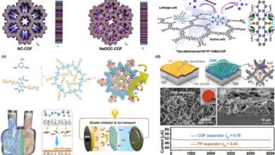 Advancements in Energy Transport with COFs