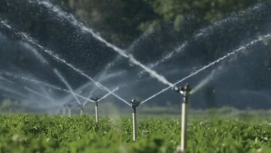 Advancements in Irrigation and Agriculture in India