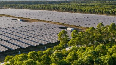 Advancements in Solar Research Expected in 2025