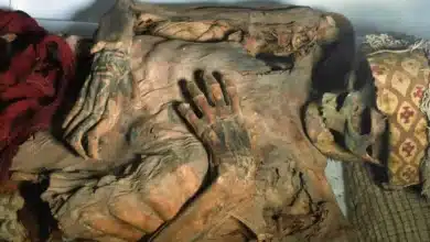 Ancient Tattoos Revealed: A Glimpse into Chancay Culture