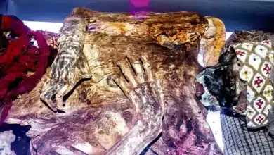 Ancient Tattoos Revealed Through Laser Technology