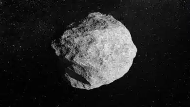 Asteroid 2024 YR4