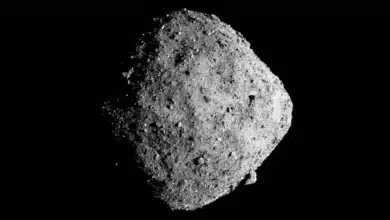 Asteroid Bennu Sample Reveals Life's Building Blocks