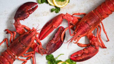 Outrage Over Lobster Bill Sparks Debate