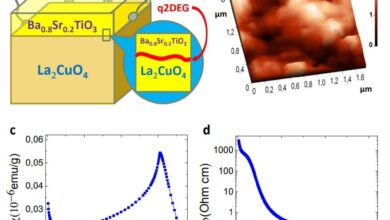 Breakthrough in Superconductivity and Ferroelectricity