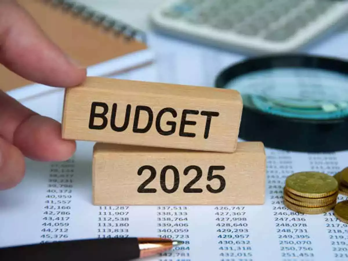 Budget 2025 Taxpayer Expectations and Proposals Observer Voice