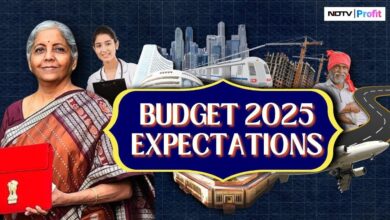 Budget 2025 expectations