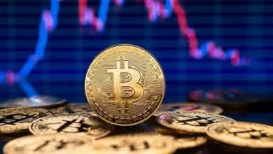 Crypto Market Volatility: Bitcoin and Altcoins Dip