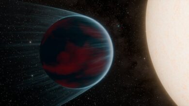 Discovering the Atmosphere of WASP-166 b