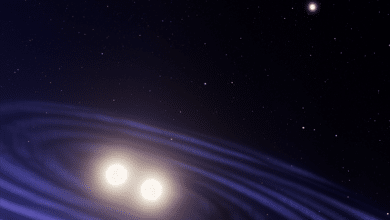Discovering the Blue Lurker: A Stellar Marvel