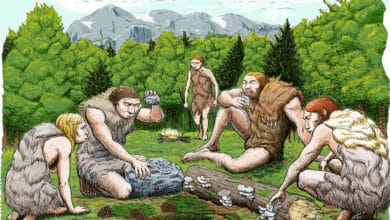 Early Human Ancestors' Plant-Based Diet Uncovered