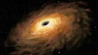 Exploring Binary Black Holes in Galaxies