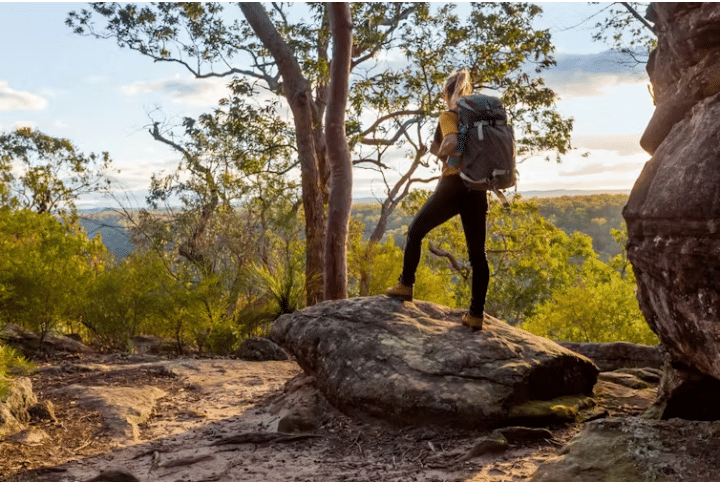 Going Bushwalking? 3 Handy Foods to Pack, Including Muesli Bars