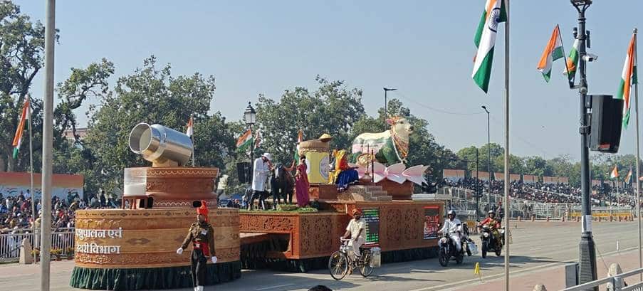 Celebrating Indigenous Cattle at Republic Day Parade