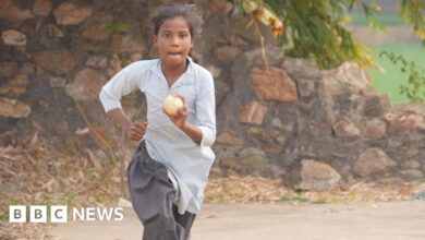 How Sachin Tendulkar made this Indian girl an online cricket