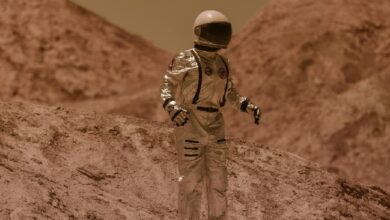 Insights from Frozen Dunes on Mars
