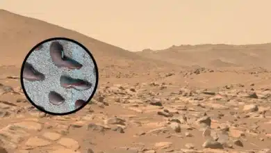 Insights from Frozen Dunes on Mars