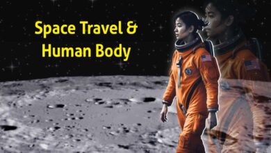 Maintaining Astronaut Health in Space
