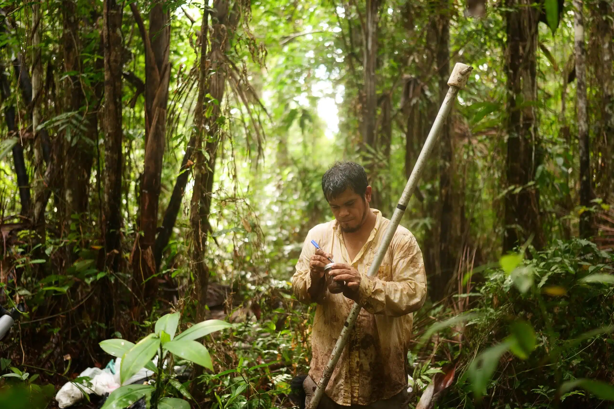 Microbes in Peru's Peatlands and Climate Impact