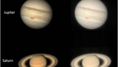 New Insights into Jupiter's Cloud Composition