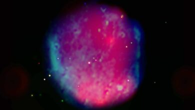 New Insights into Supernova Remnant Diprotodon