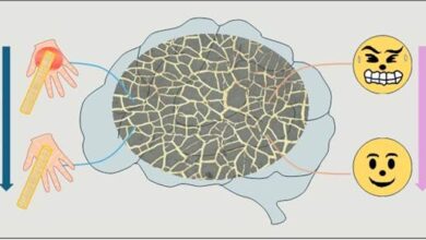 Innovative Device Mimics Human Pain Perception