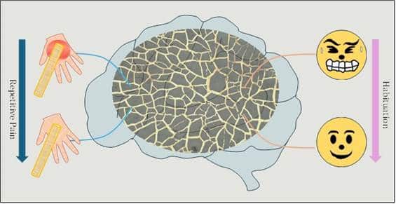 Innovative Device Mimics Human Pain Perception