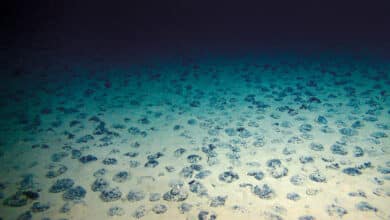 Ocean's Depths: A New Source of Oxygen