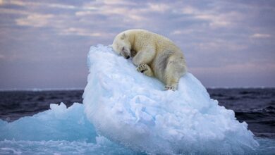 Rare Natural Phenomena Captured Above Bear Island