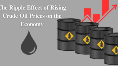 Rising Oil Prices: Impacts and Implications