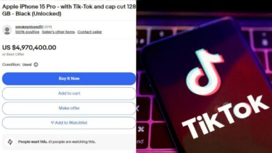 TikTok's Rollercoaster: Users Pay Big for Access