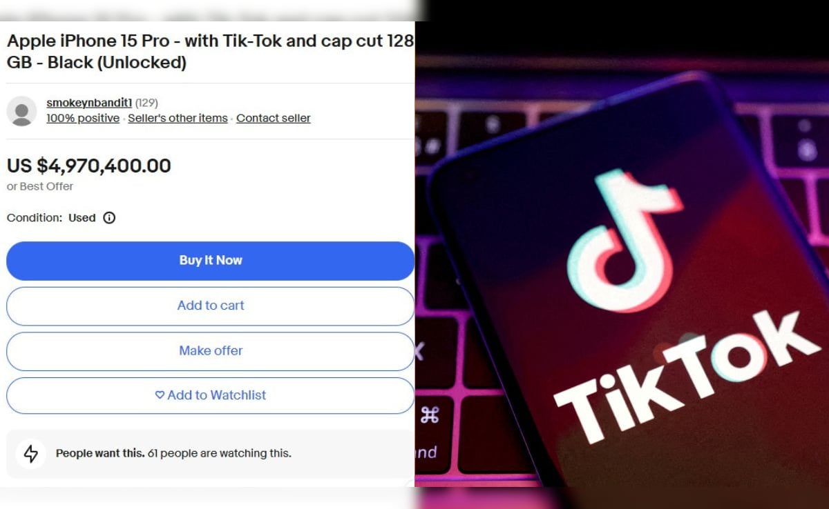 TikTok's Rollercoaster: Users Pay Big for Access