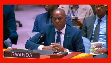 Security Council Condemns M23 Advances in DRC