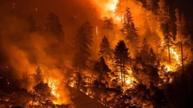 Southern California Faces Severe Drought and Fire Risks