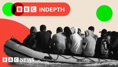 The Desperate Journey of Vietnamese Migrants to the UK