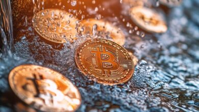 Transatlantic Collaboration on Crypto Regulations